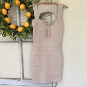 NWT bodycon dress